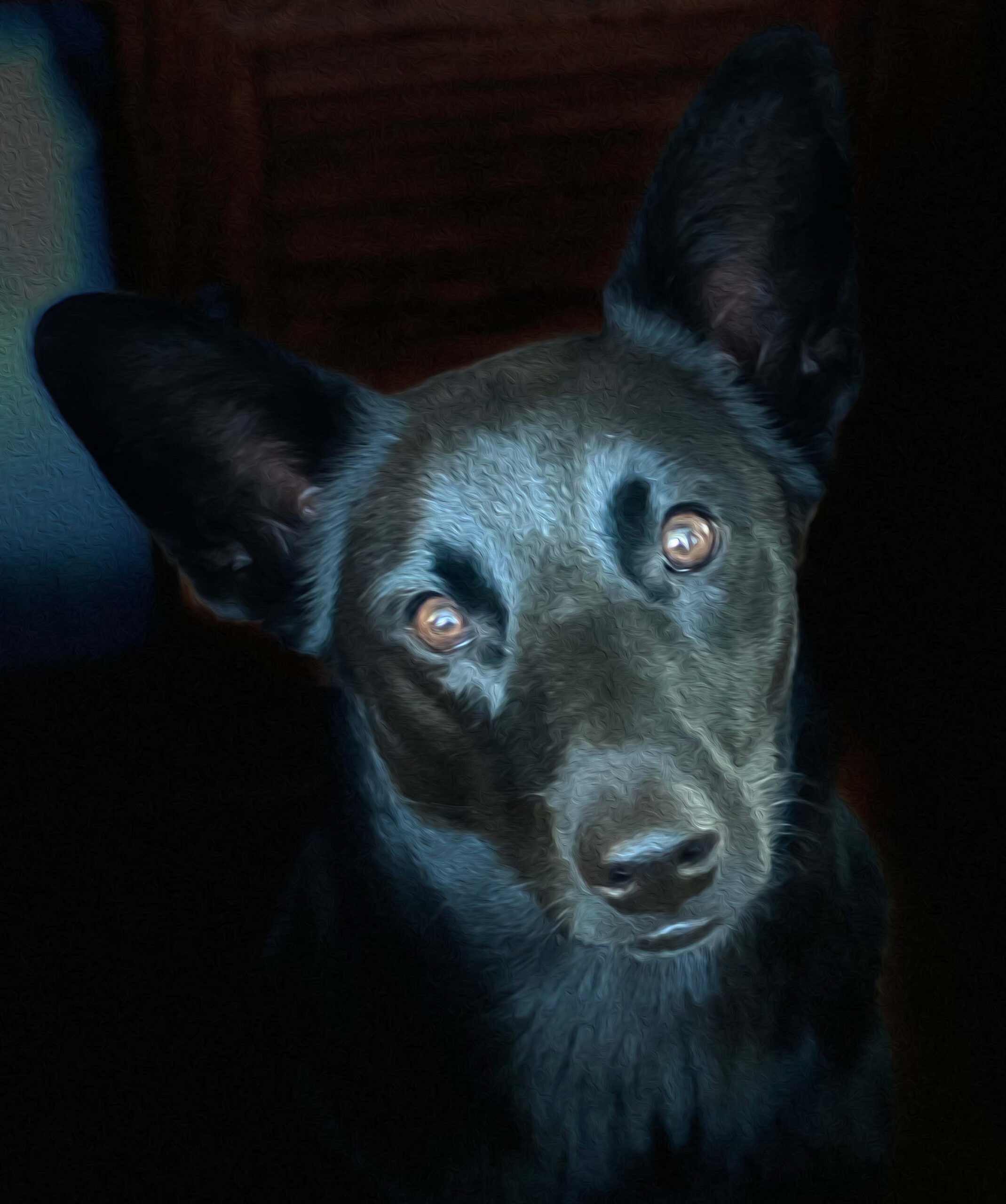 DelOilPaint