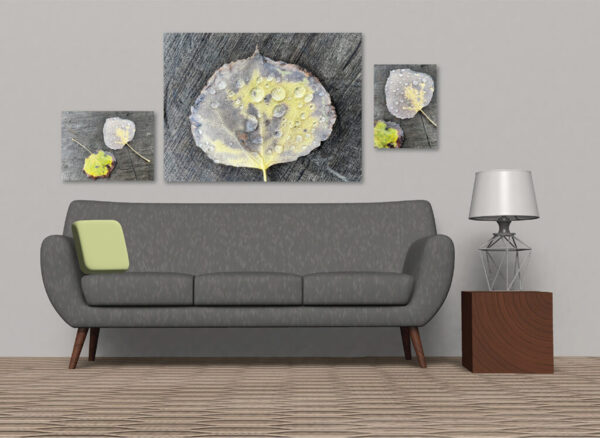 LivingRoom2